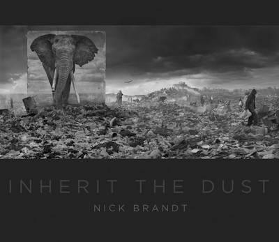 NICK BRANDT INHERIT THE DUST