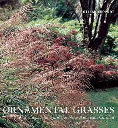 ORNAMENTAL GRASSES
