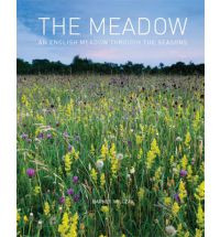 THE MEADOW