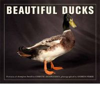 BEAUTIFUL DUCKS