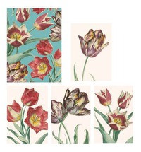 RHS TULIPS CARDS