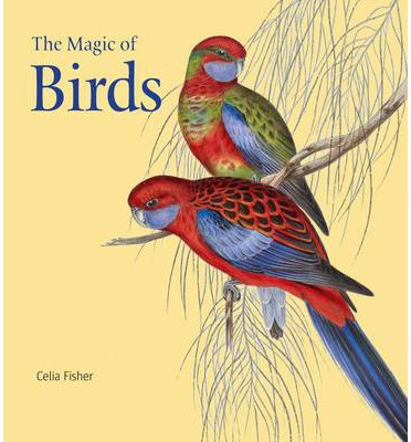 THE MAGIC OF BIRDS