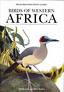 BIRDS OF WESTERN AFRICA