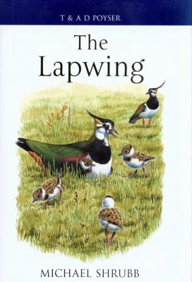 LAPWING