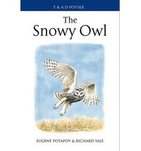 THE SNOWY OWL
