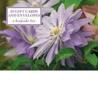 TIN BOX CLEMATIS