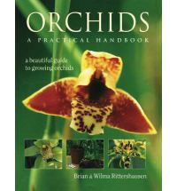 ORCHIDS