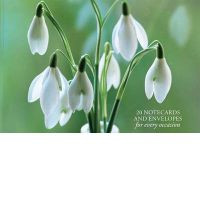 SNOWDROPS CARDBOX