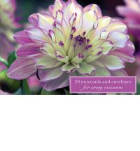 DAHLIA CARDBOX