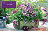 PRIMULA CARDBOX