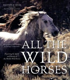 ALL THE WILD HORSES