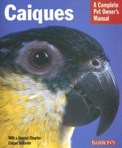 CAIQUES
