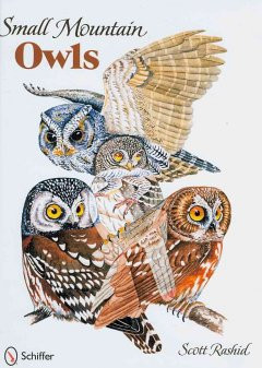 SMALL MOUNTAIN OWLS