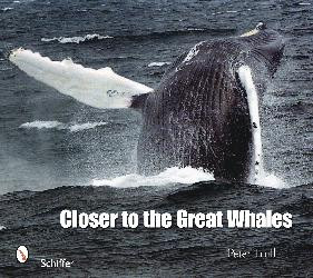 CLOSER TO THE GREAT WHALES