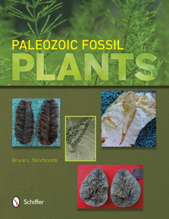 PALEOZOIC FOSSIL PLANTS