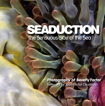 SEADUCTION
