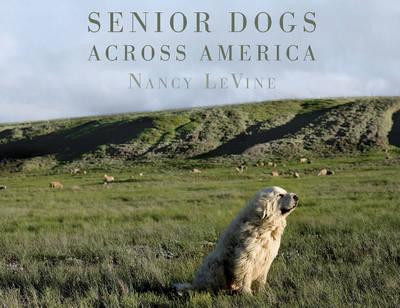 SENIOR DOGS ACROSS AMERICA