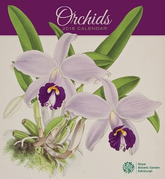 ORCHIDS 2016