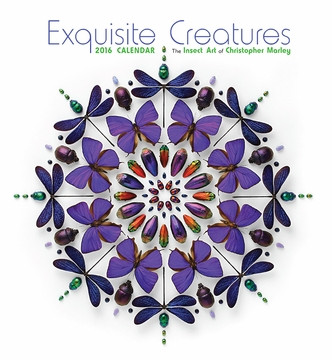 EXQUISITE CREATURES 2016