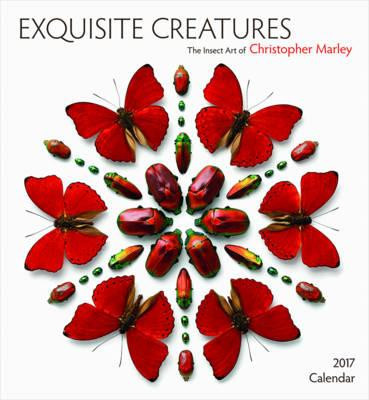 EXQUISITE CREATURES 2017