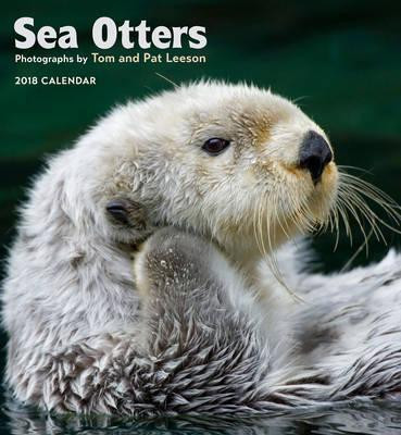 SEA OTTERS CALENDAR 2018