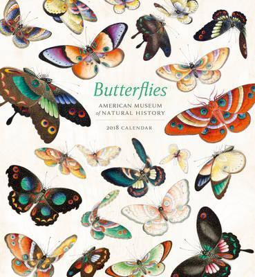BUTTERFLIES 2018 WALL CALENDAR