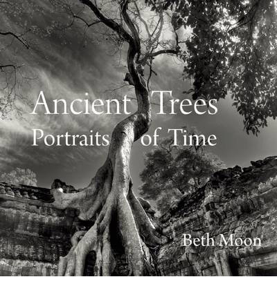 ANCIENT TREES