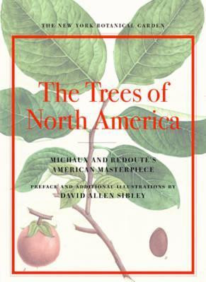 THE TREES OF NORTH AMERICA