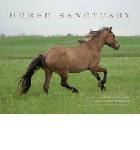 HORSE SANCTUARY