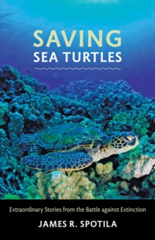 SAVING SEA TURTLES