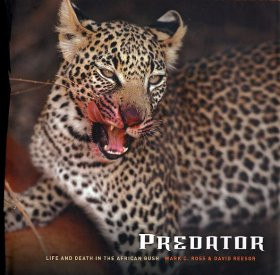 PREDATOR