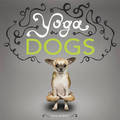YOGA DOGS