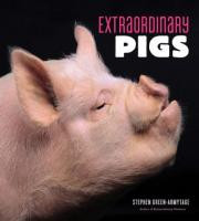 EXTRAORDINARY PIGS