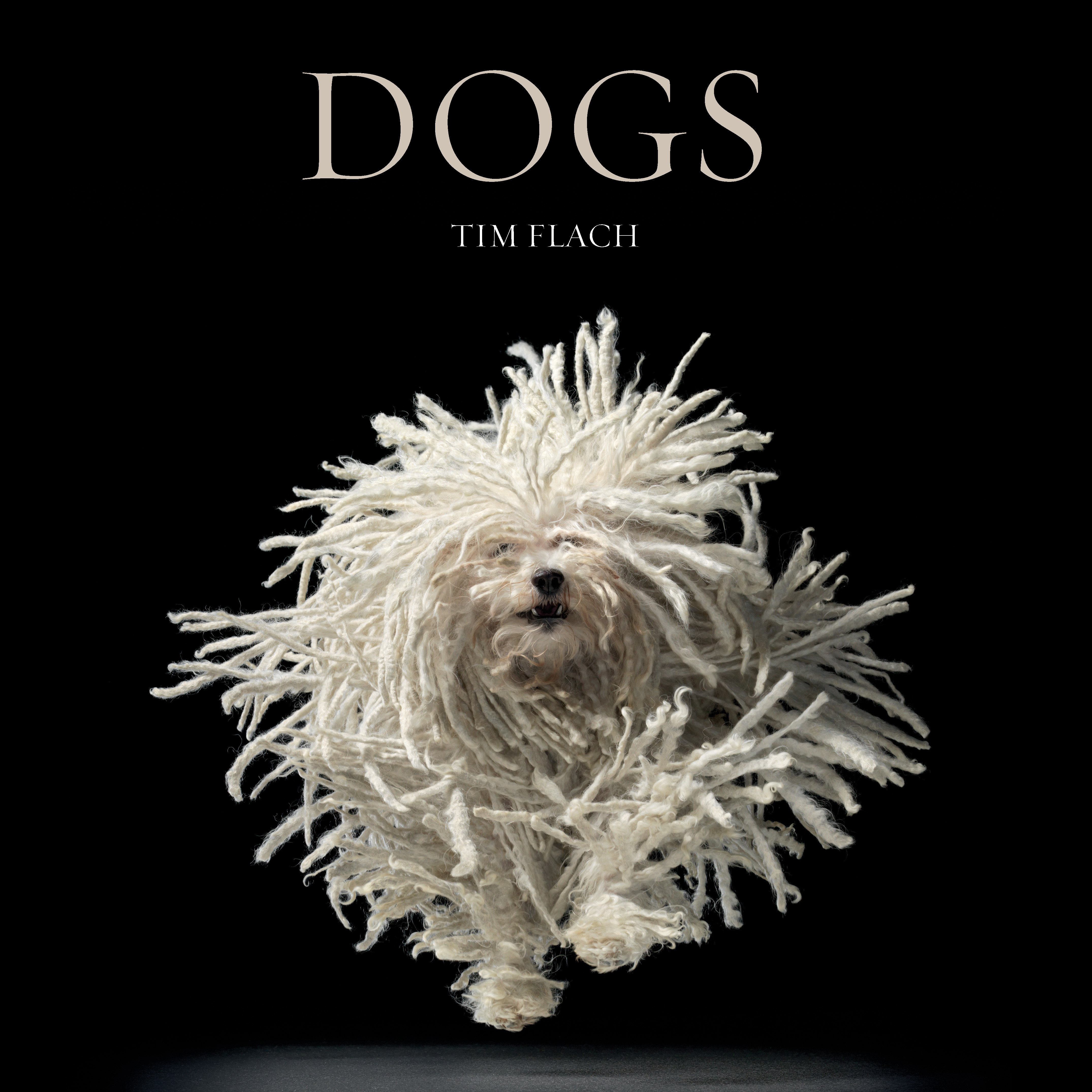 DOGS