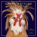 EXTRAORDINARY CHICKENS 2012
