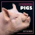 EXTRAORDINARY PIGS 2012