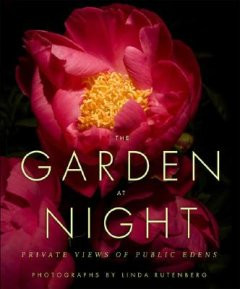 GARDEN AT NIGHT