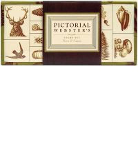PICTORIAL WEBSTER S