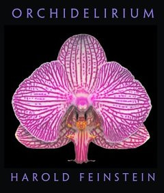ORCHIDELIRIUM
