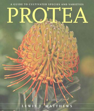 PROTEA