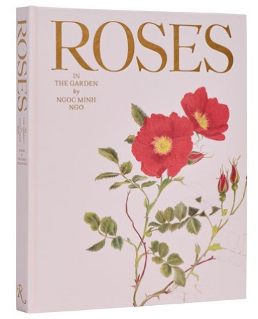 ROSES IN THE GARDEN