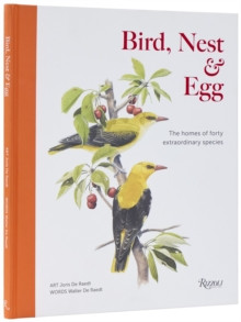 BIRD NEST & EGG