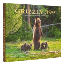 GRIZZLY 399