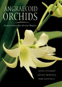 ANGRAECOID ORCHIDS