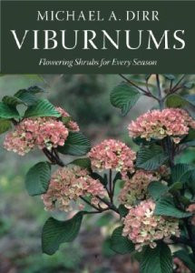 VIBURNUMS