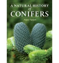 A NATURAL HISTORY OF CONIFERS