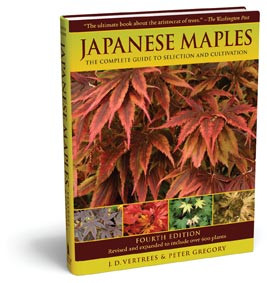 JAPANESE MAPLES