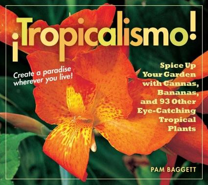 TROPICALISMO!