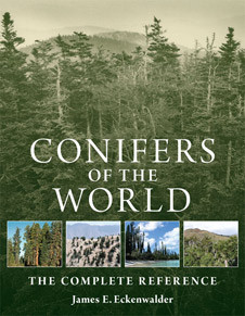 CONIFERS OF THE WORLD