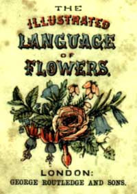 THE ILLUSTRATED LANGUAGE OF FLOWERS